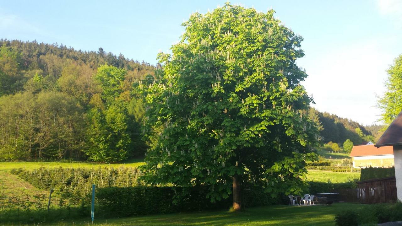 Haus Annemarie Daire Goldkronach Dış mekan fotoğraf