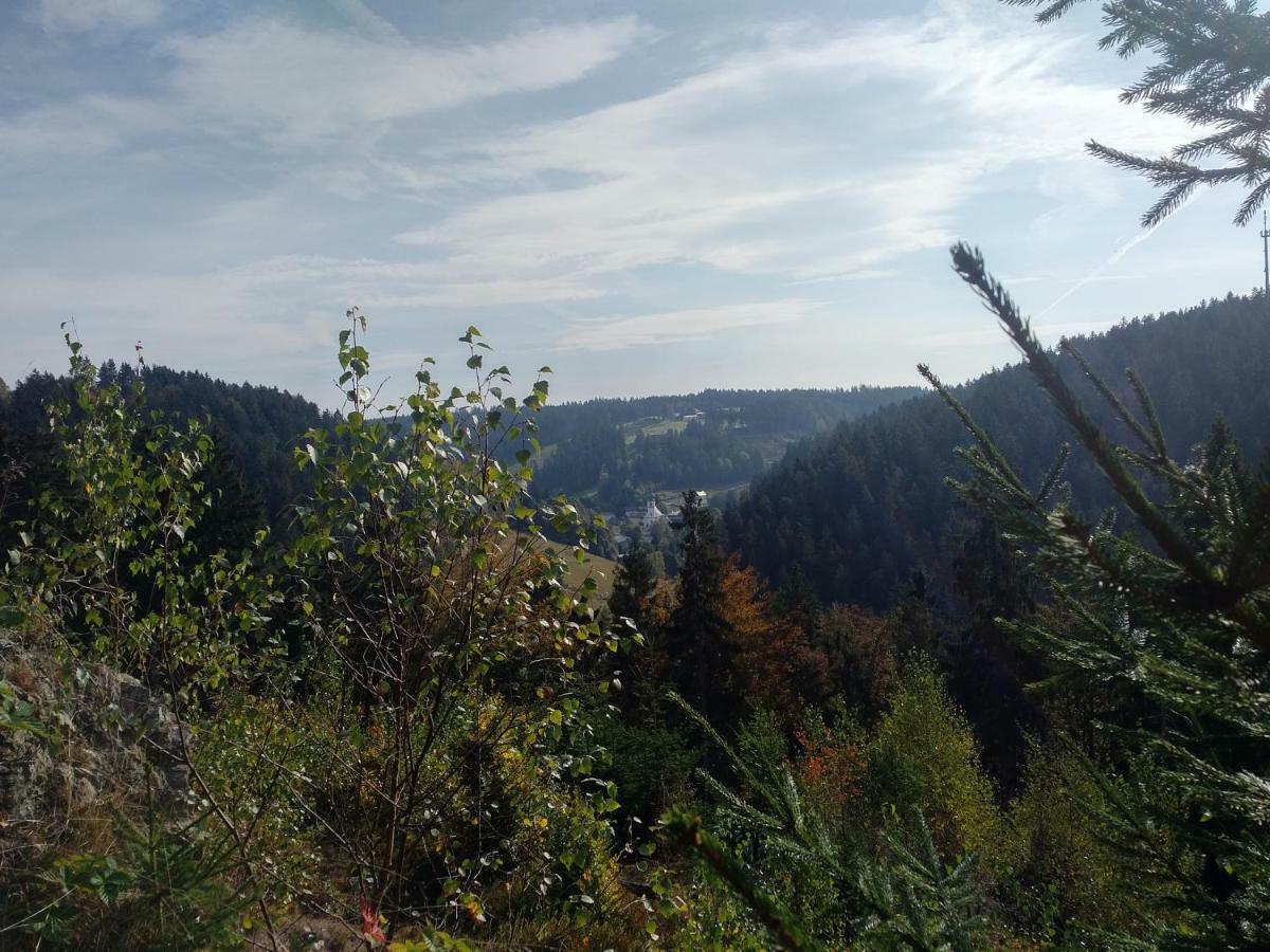 Haus Annemarie Daire Goldkronach Dış mekan fotoğraf